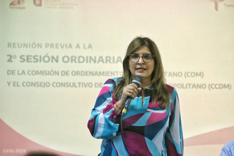 Avanza conformación de zona metropolitana entre Tamaulipas y Veracruz