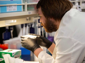 OMS suspende ensayos clínicos con hidroxicloroquina