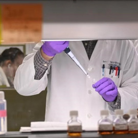 Alerta la OMS por brote de ántrax originado en Zambia