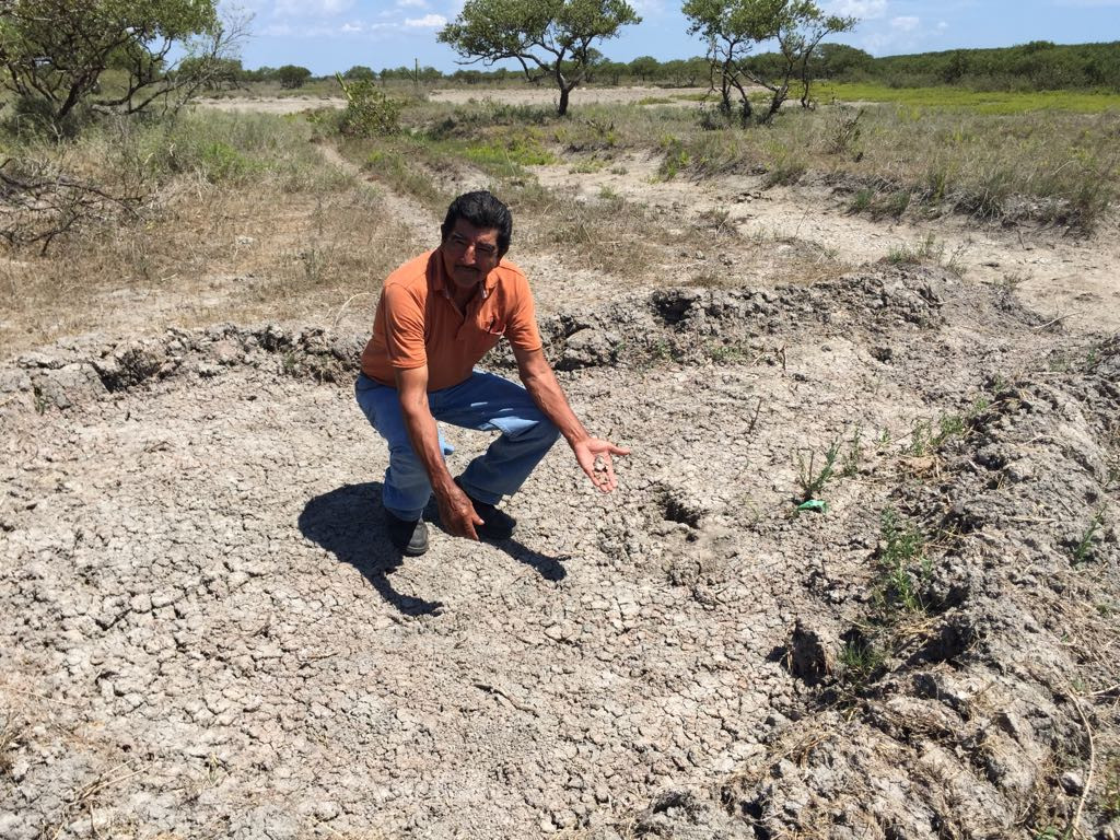 Pescadores denuncian contaminación en Laguna y manglares