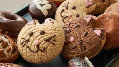 Crean en CDMX la ‘Michi conchas’ para los amantes de los gatos