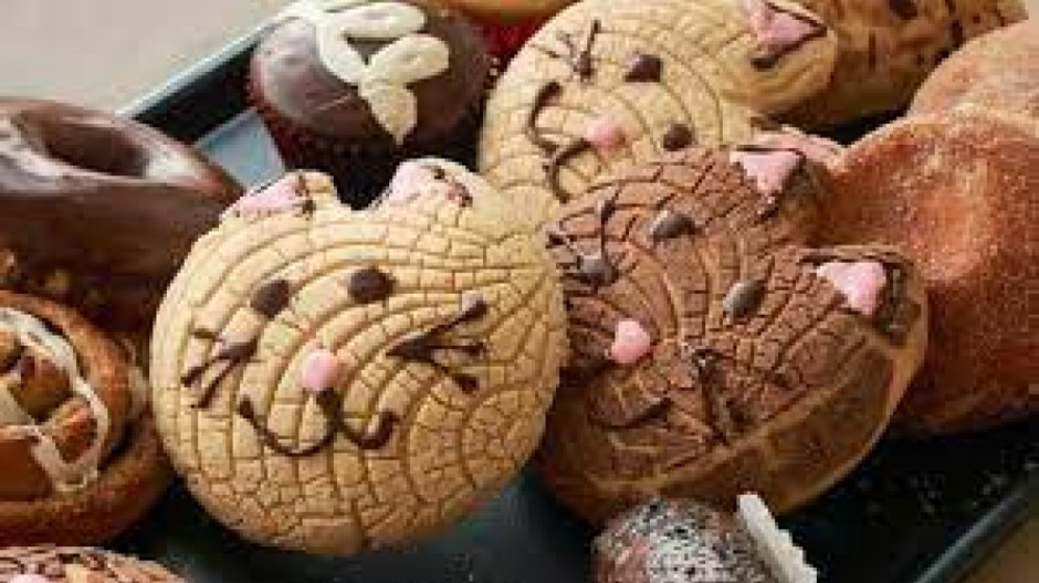 Crean en CDMX la ‘Michi conchas’ para los amantes de los gatos