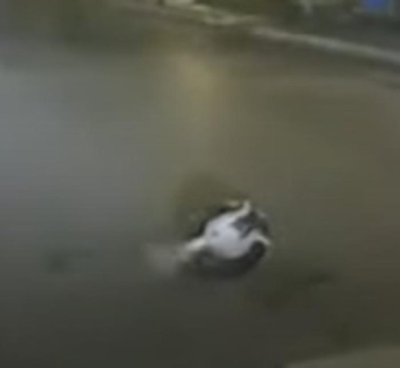 Salvan a gatito de ser devorado por pitón