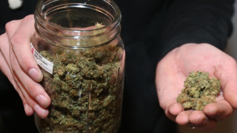 Trump anula política de Obama sobre la marihuana