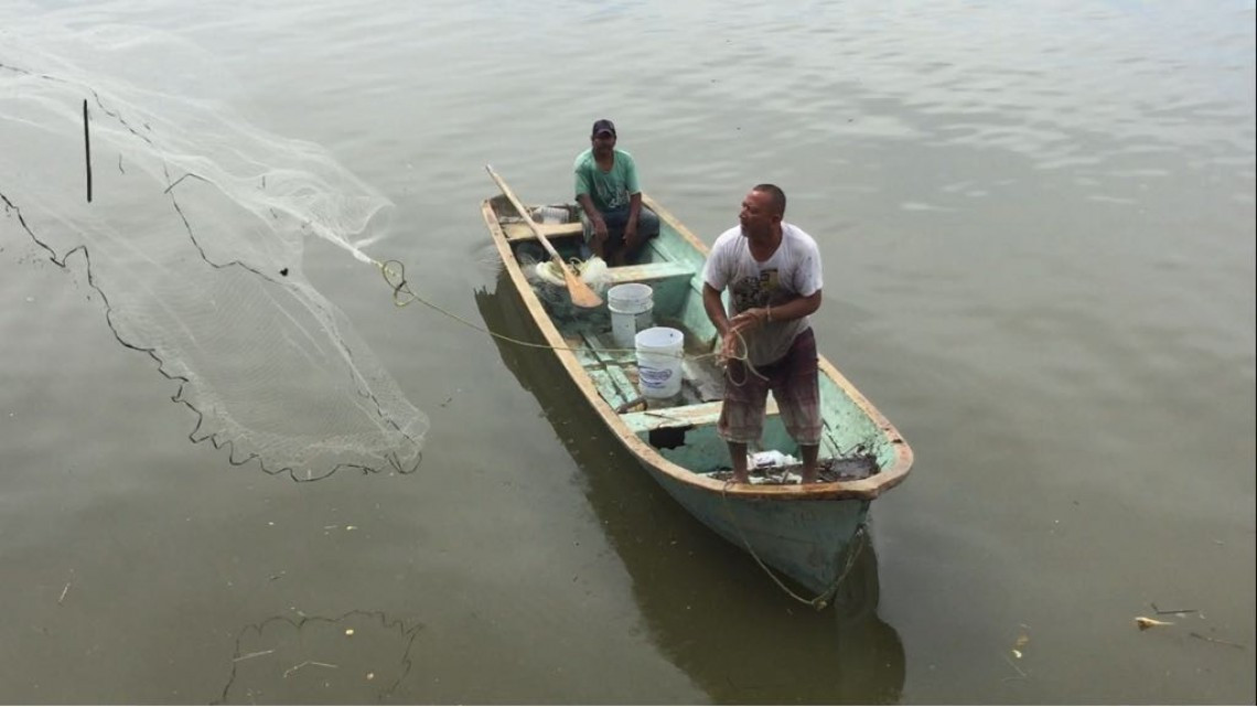 En crisis el campo por falta de lluvias