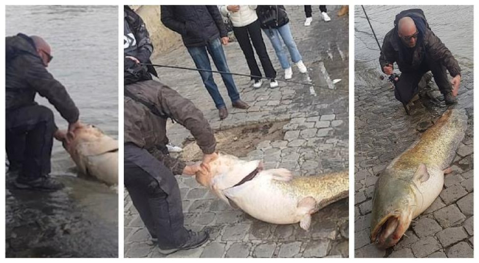 Sorprendente, hombre logra atrapar un bagre "gigante" 
