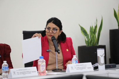 Diputados amenazan con sancionar a auditor 