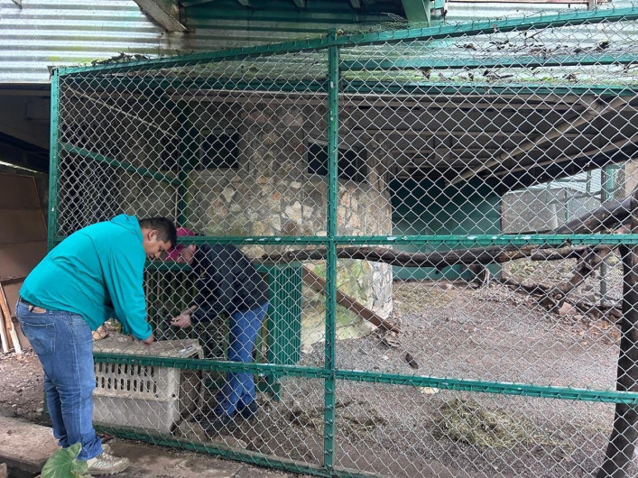 Por onda gélida, permanecerán cerrados parques de la Comisión