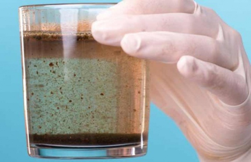 Crean robots que eliminan bacterias del agua