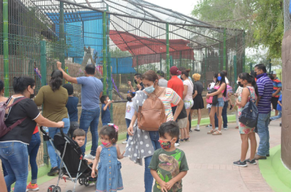  En agosto inicia el campameto "Jurassic Camp"