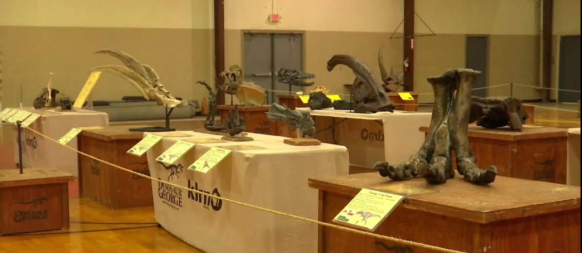 Escuela en Texas incluye estudio de fósiles de dinosaurios en plan educativo