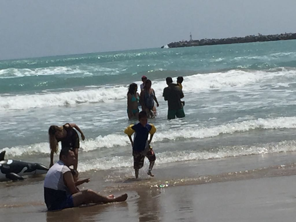 Altamira crece en el gusto de muchos visitantes