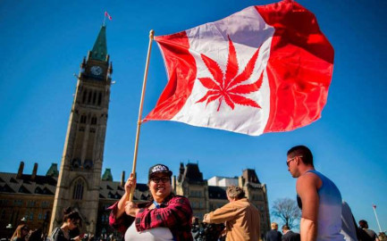 Canadá aprueba el proyecto de ley para legalizar la marihuana