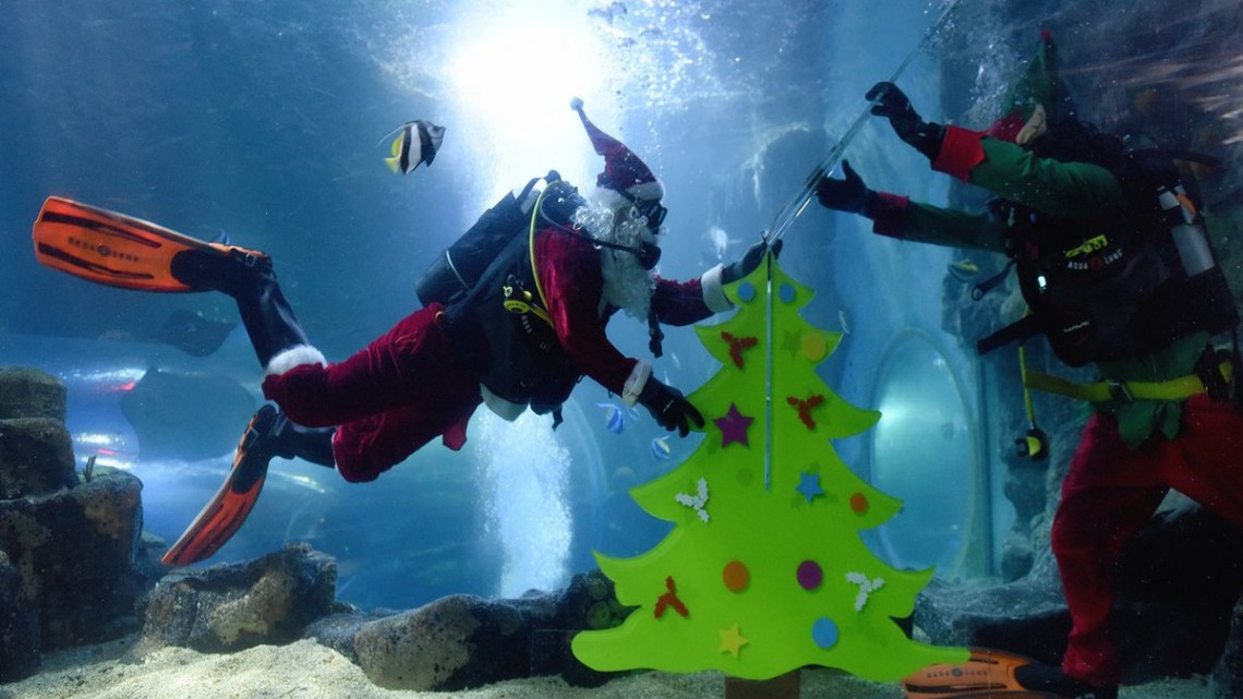 Buzos disfrazados de Santa brillan en acuarios del mundo
