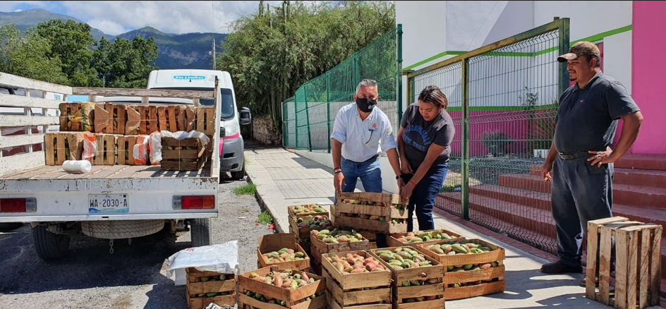 DIF Tamaulipas ayuda a familias de Miquihuana a vender Tunas