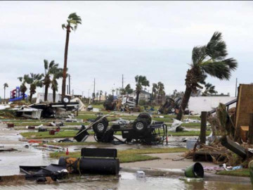 Cobra ‘Harvey’ su primera muerte