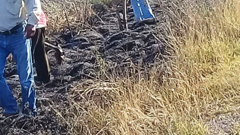 Protegen medio ambiente de la fuerza del viento