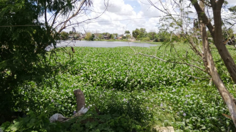 Pc recorre calicheras, 6 se encuentra a su máxima capacidad
