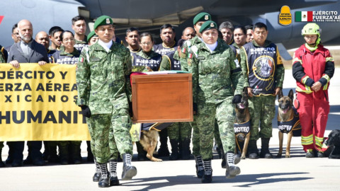 Como héroes: Turquía regresó a perros rescatistas en vuelos de primera clase