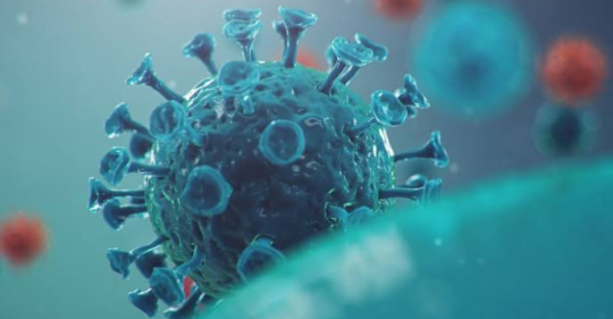 Condado Willacy suma 410 casos de COVID-19 