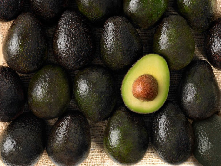 Aguacate registra el precio más alto 