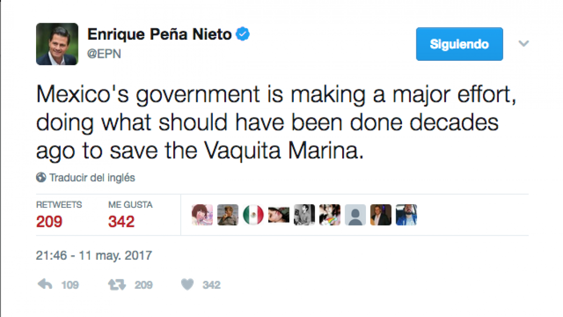 Responde EPN a Di Caprio sobre extinción de vaquita marina