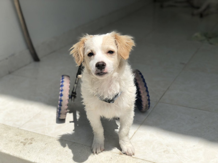 ‘Piojito’ celebra un año de su recuperación