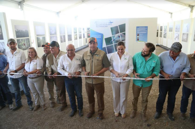 Inauguran primer Festival de la Paloma Ala Blanca de Tamaulipas