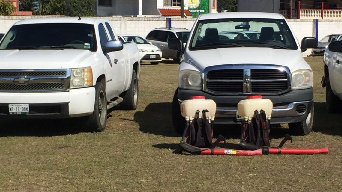Refuerzan acciones en lucha contra el mosco transmisor de dengue, zika y chikungunya