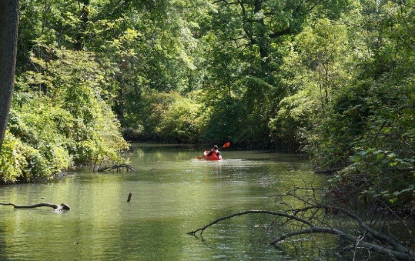 ¡Qué susto! Cocodrilo se lanza contra Kayak de un turista 