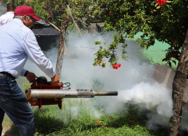 Destina Gobierno de Tamaulipas 50 MDP adicionales para el combate al dengue