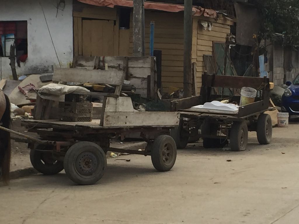 Serio problema de desechos urbanos cerca de sistemas lagunarios