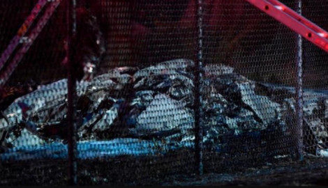 Nueve personas mueren al estrellarse un avión en Hawái  