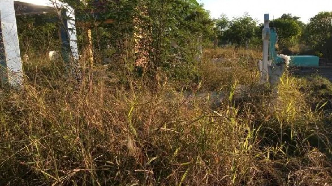 Limpieza de panteones terminará hasta Diciembre: Lalo Gattás