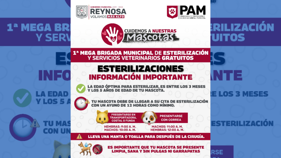 Domingo de Esterilización y Servicios Veterinarios Gratuitos en Reynosa 