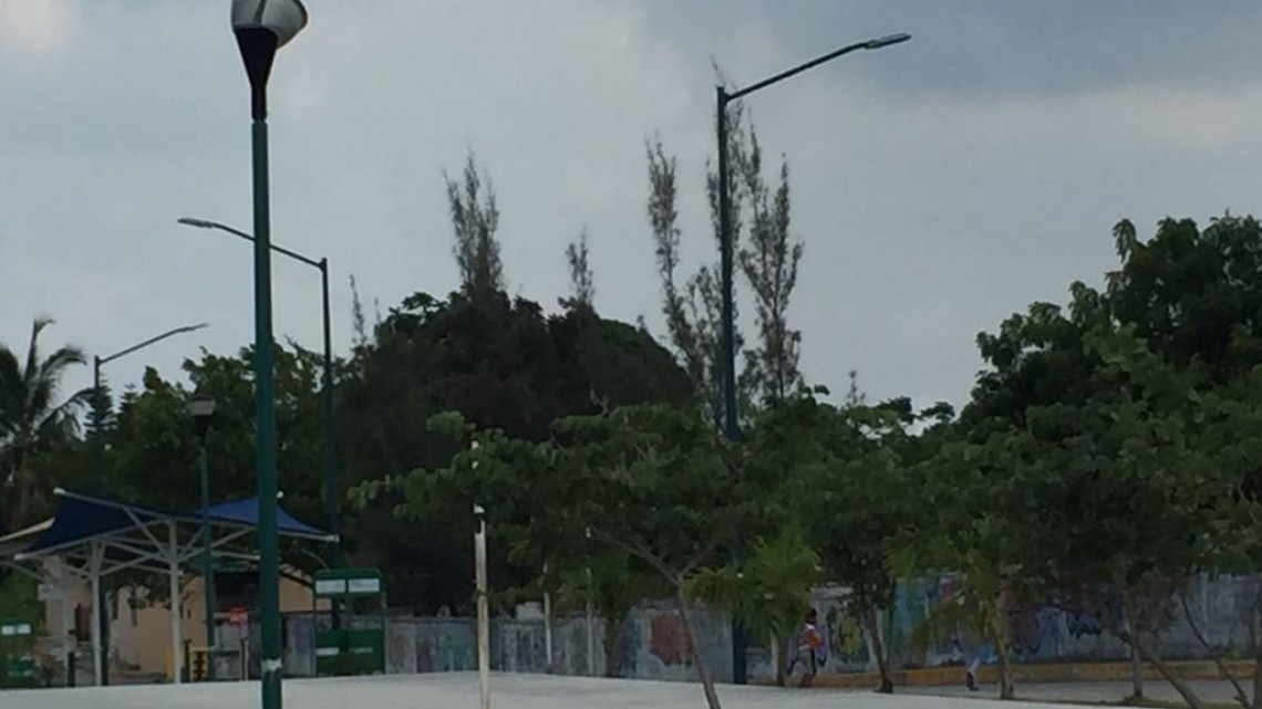 Robo de cable eléctrico de espacios públicos, problema que crece