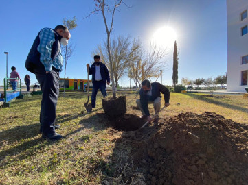 Institución educativa promueve la reforestación