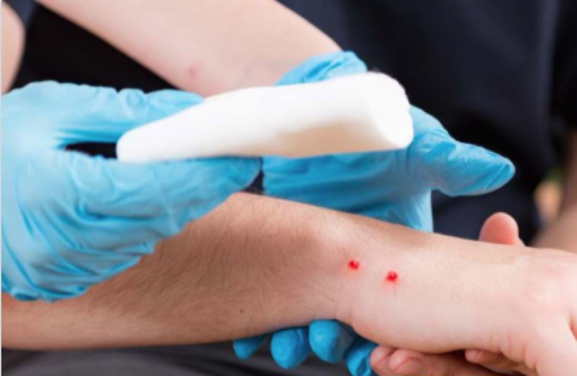 Cofepris autoriza antiveneno para tratar mordedura de más de 40 especies de serpientes