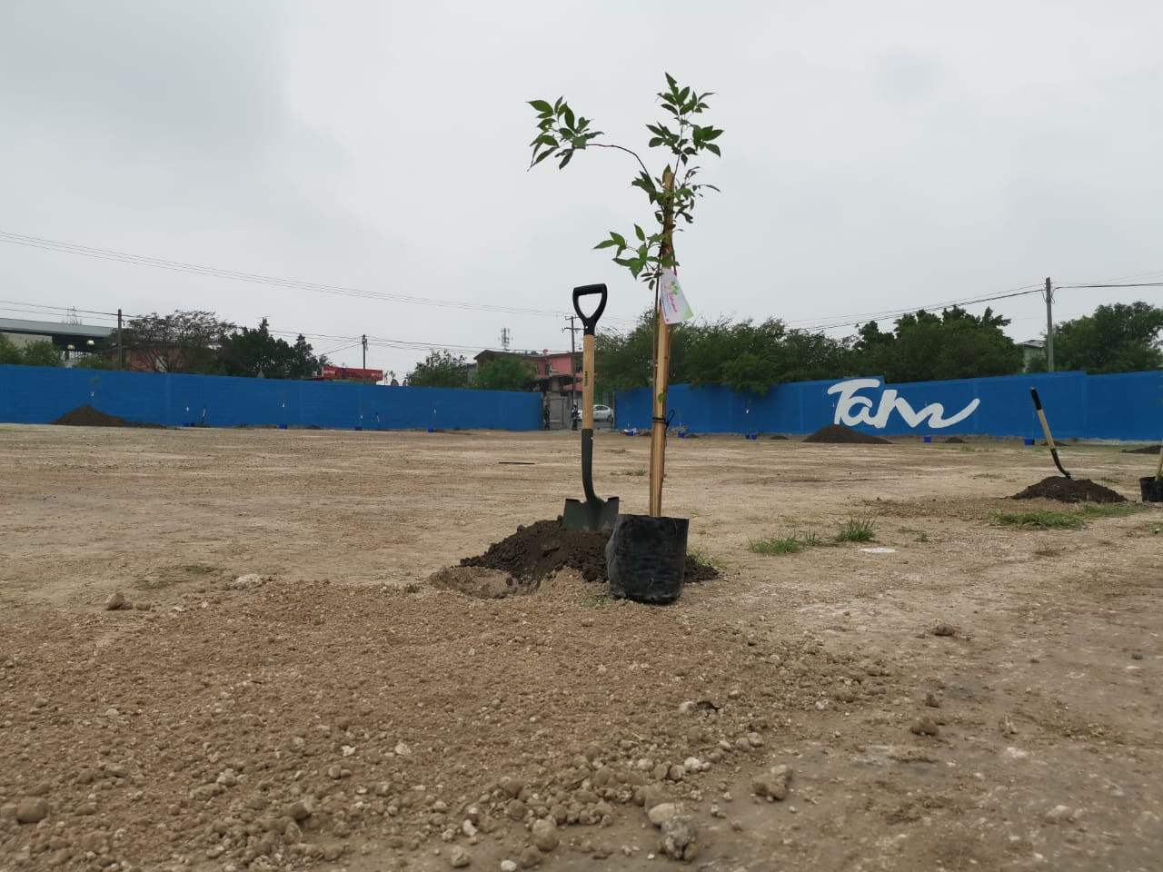 Arranca Programa de Reforestación en escuelas