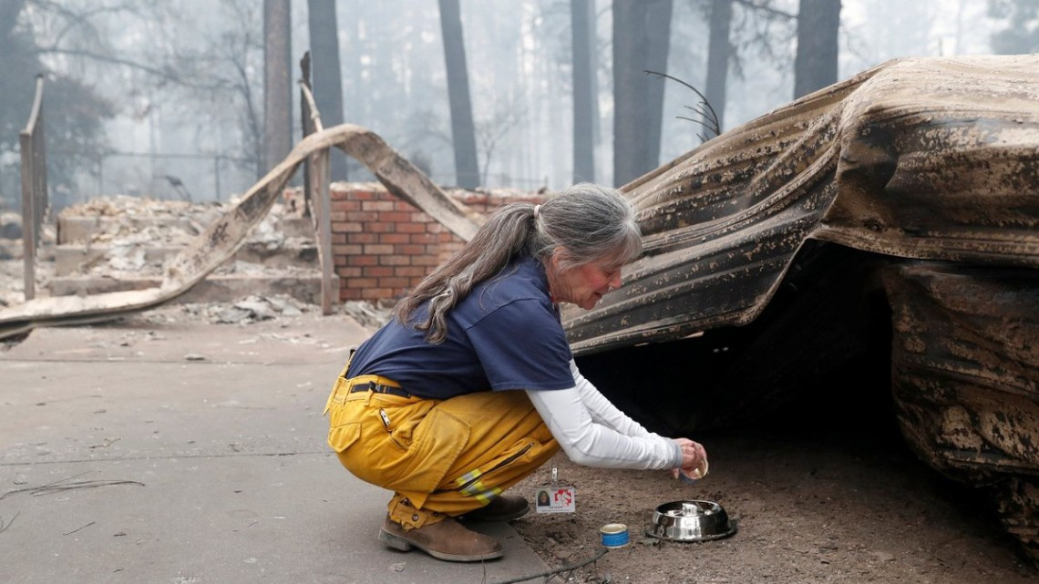 Las otras víctimas de los incendios en California