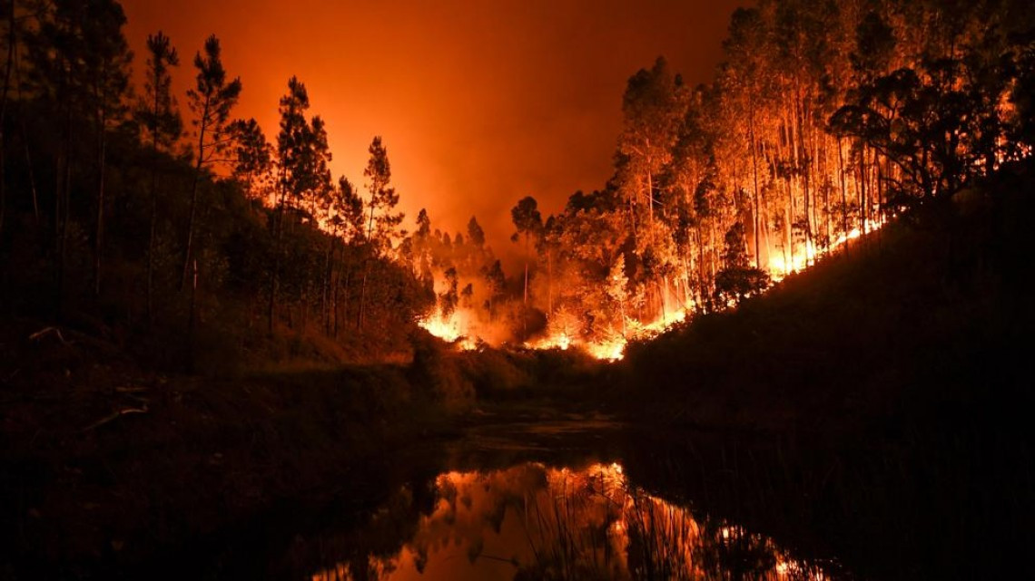 Van 62 muertos por incendio en Portugal