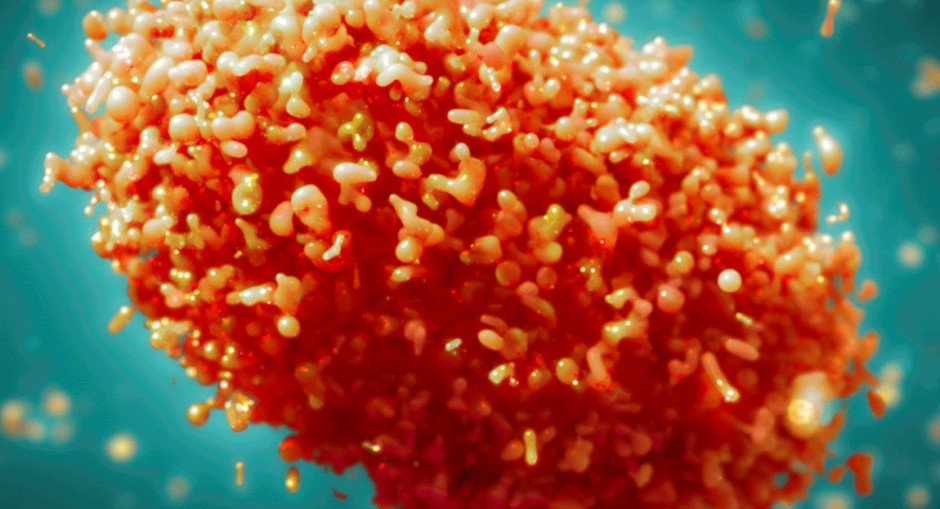 Para minimizar racismo, OMS cambia nombre de viruela del simio por "mpox" 