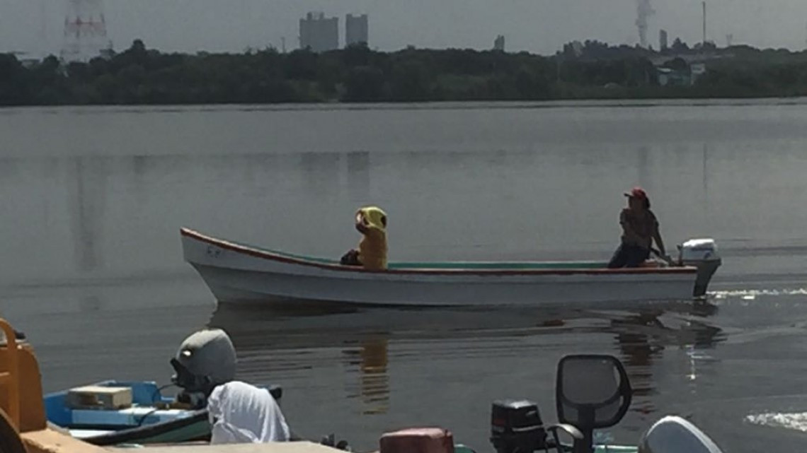 Se desploma la pesca en lagunas de Altamira, por invasión de plagas marinas