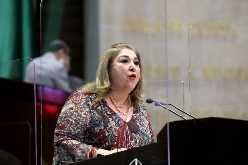 El presupuesto 2021 prioriza la salud y la seguridad: Adriana Lozano