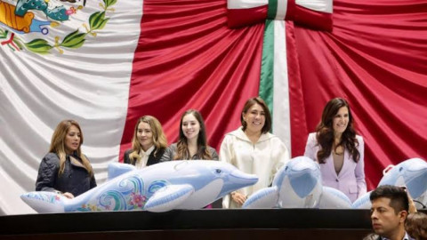 Diputados avalan reforma a la Ley de Vida Silvestre y pasa al ejecutivo: se prohíbe uso de mamíferos marinos en espectáculos