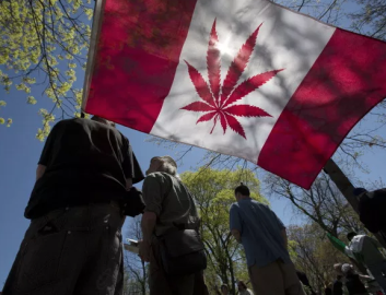 Canadá aprueba de manera oficial el uso de la marihuana