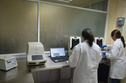 Suma Tamaulipas 52,186 casos de COVID-19 