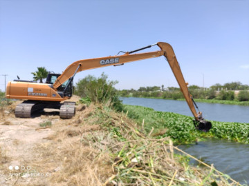 Continúa Ayuntamiento de Reynosa trabajando en remoción del lirio acuático del canal Anzalduas
