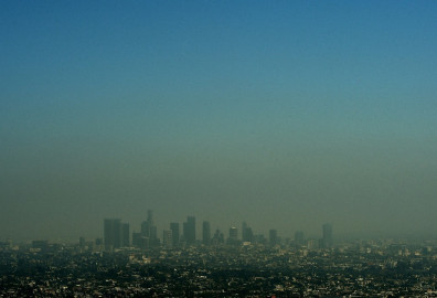 Más de 15 mil científicos pronostican extinción masiva 