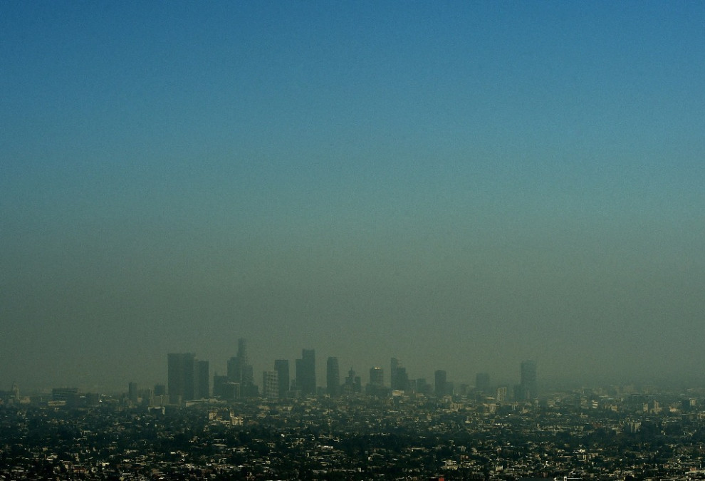 Más de 15 mil científicos pronostican extinción masiva 